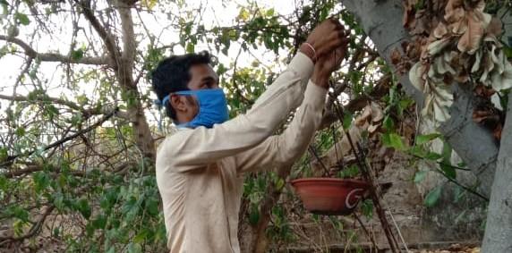 #project #sankalp #परिंडा अभियान