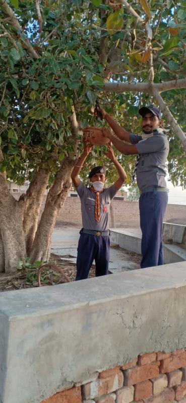  परिंडे लगाते हुए