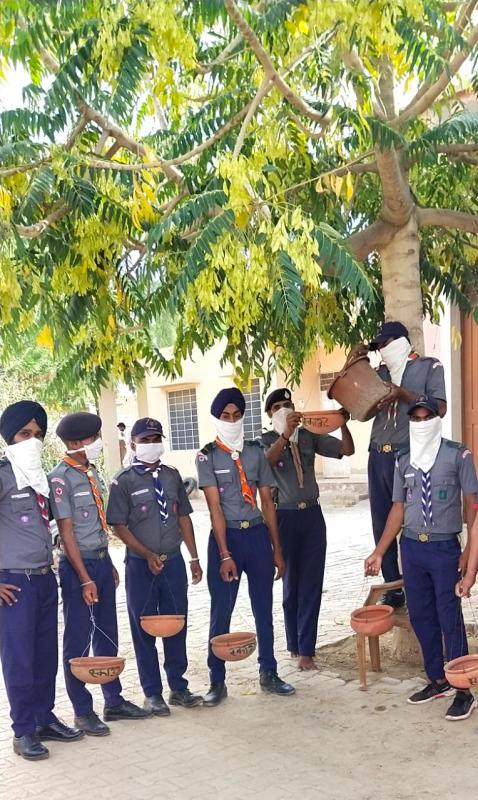  परिंडा लगाओ अभियान की शुरुआत