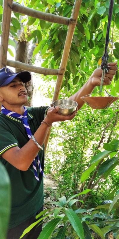 घरेलू वस्तुओं से पक्षियों के लिए परिंडे व चुगा तैयार कर पानी व दाना डालने का सेवा करें