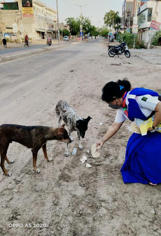 help cows and dogs in covid -19 by unit leader suman charan