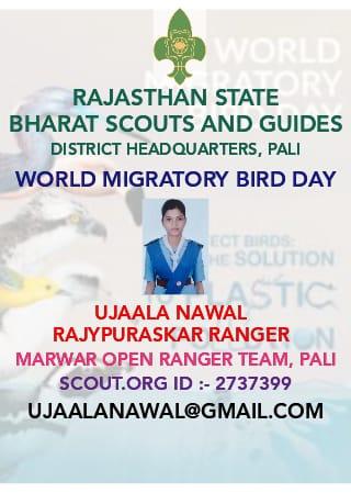 WORLD MIGRATORY BIRD DAY 2020
