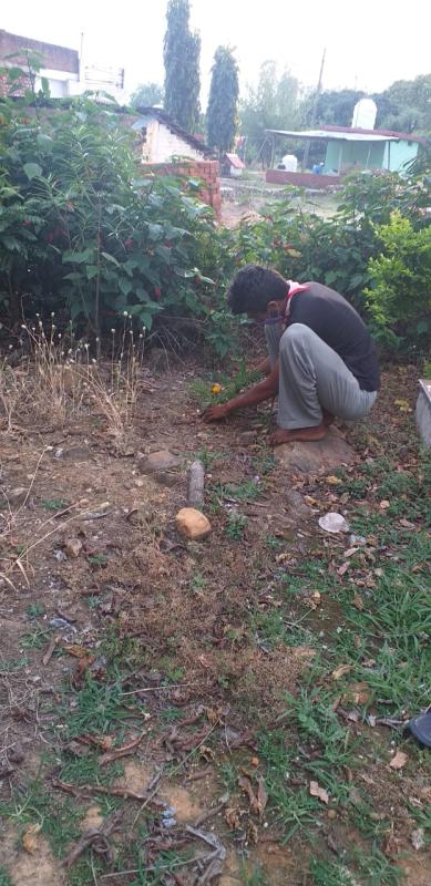 # plantation.  