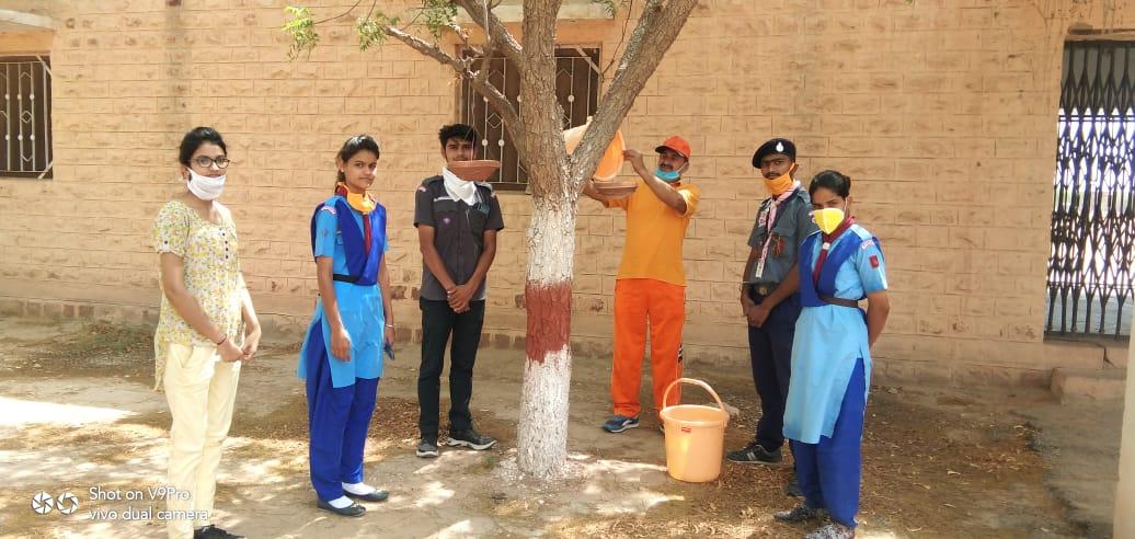 missian parinda 1001
