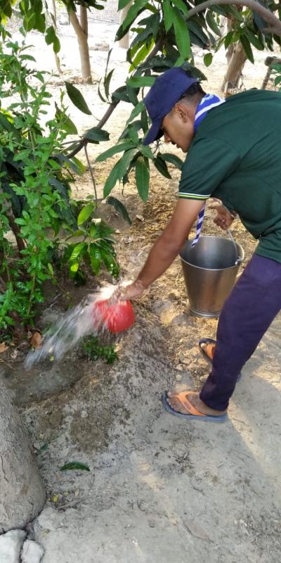 पेड़ पौधों में पानी डालते हुए