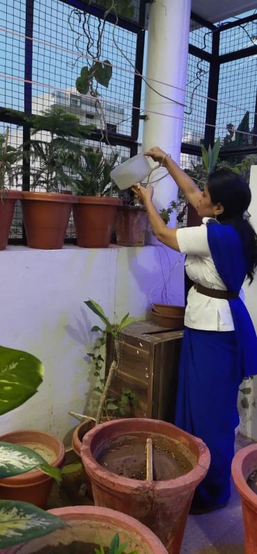 पौधों को पानी पिलाती स्काउट गाइड केप्टन जयलता माधव