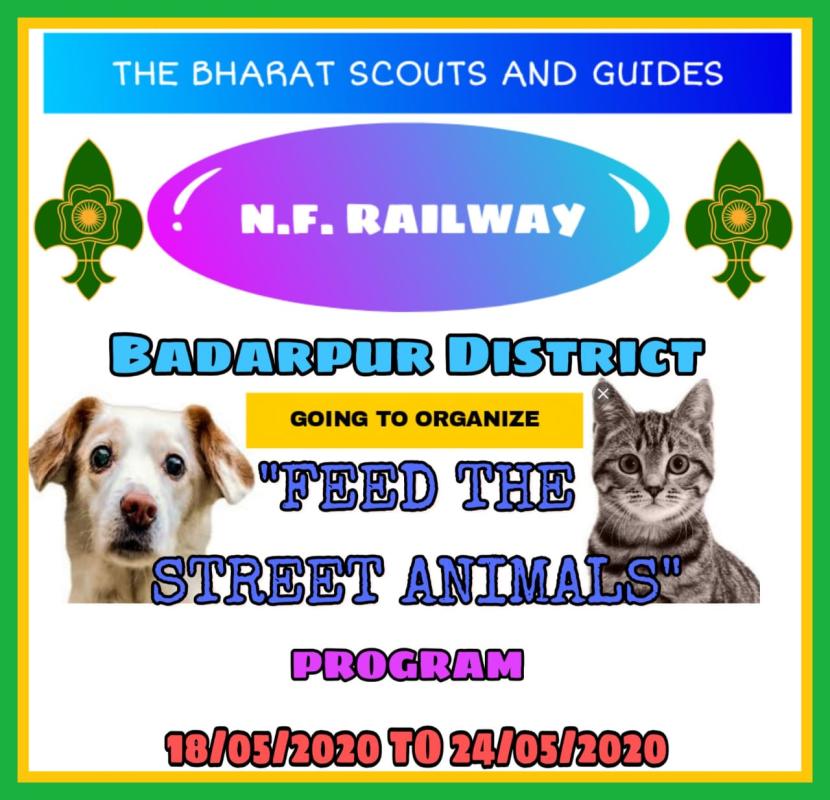 FEED THE STREET ANIMALS