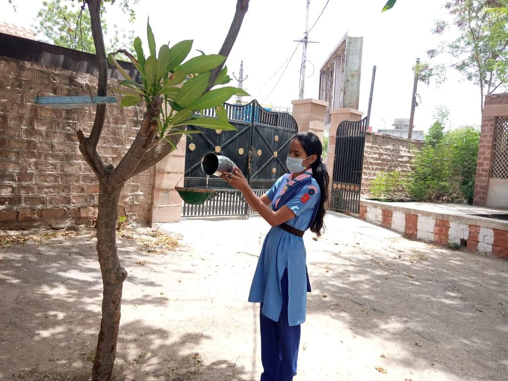 परिंडे में पानी डालते हुए