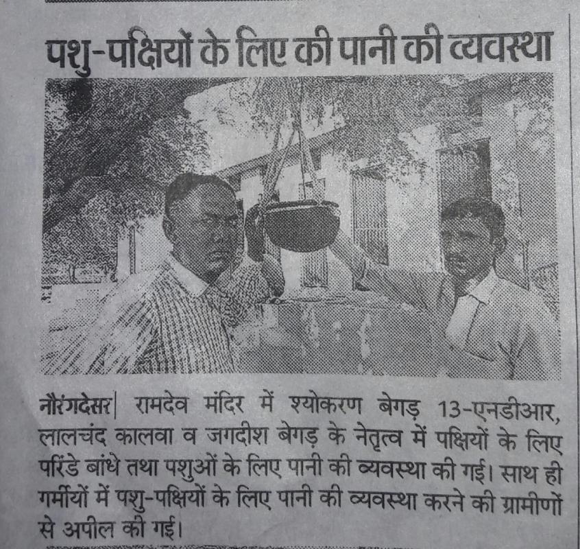 मेरे गांव में परिंडा अभियान।