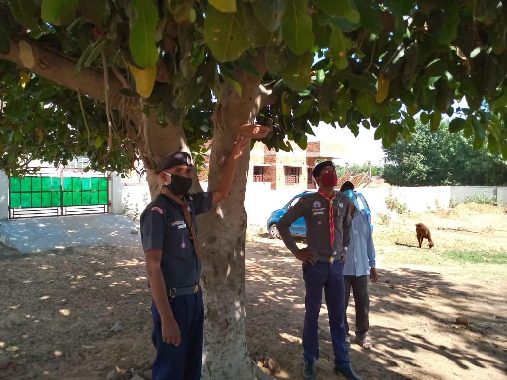  चिकित्सालय में परिंडे लगाते हुए