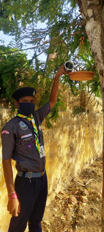 स्काउट गाइड द्वारा जैव विविधता दिवस मनाया गया