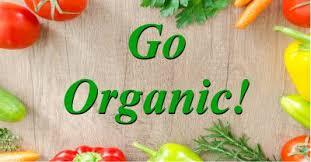 project sankalp group (B) Environmental and sustainability challenge- 4 "#Goorganic" BS&G,DHQ-Jodhpur,Rajasthan,India 