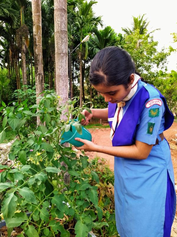 Challenge B- Go organic