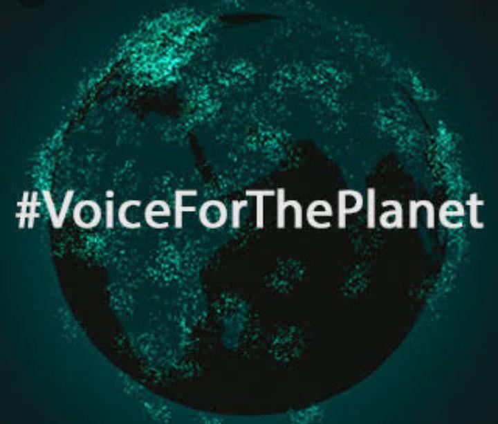 Earth hour{#challenge-1*voice_for_the_planet*}