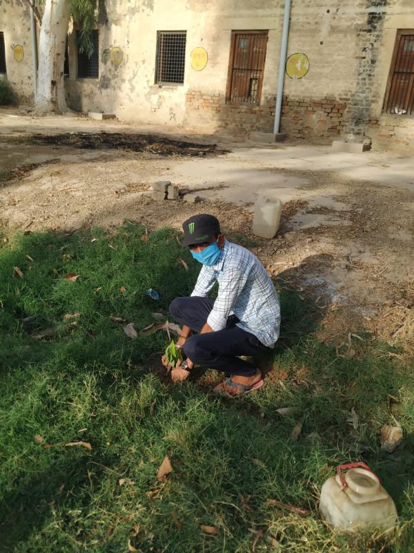 Plant planting