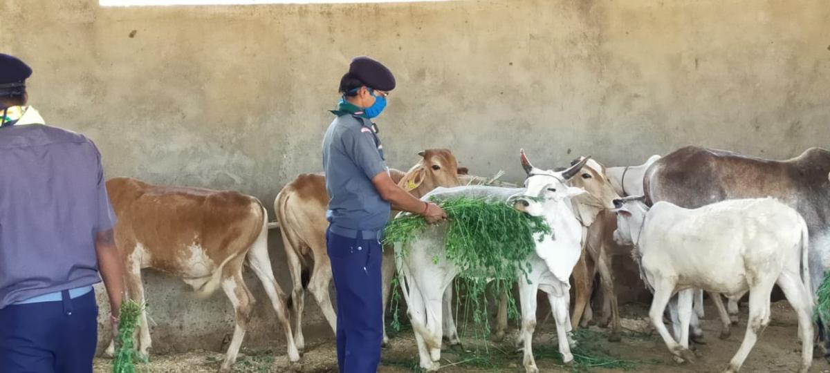 सेवा कार्य