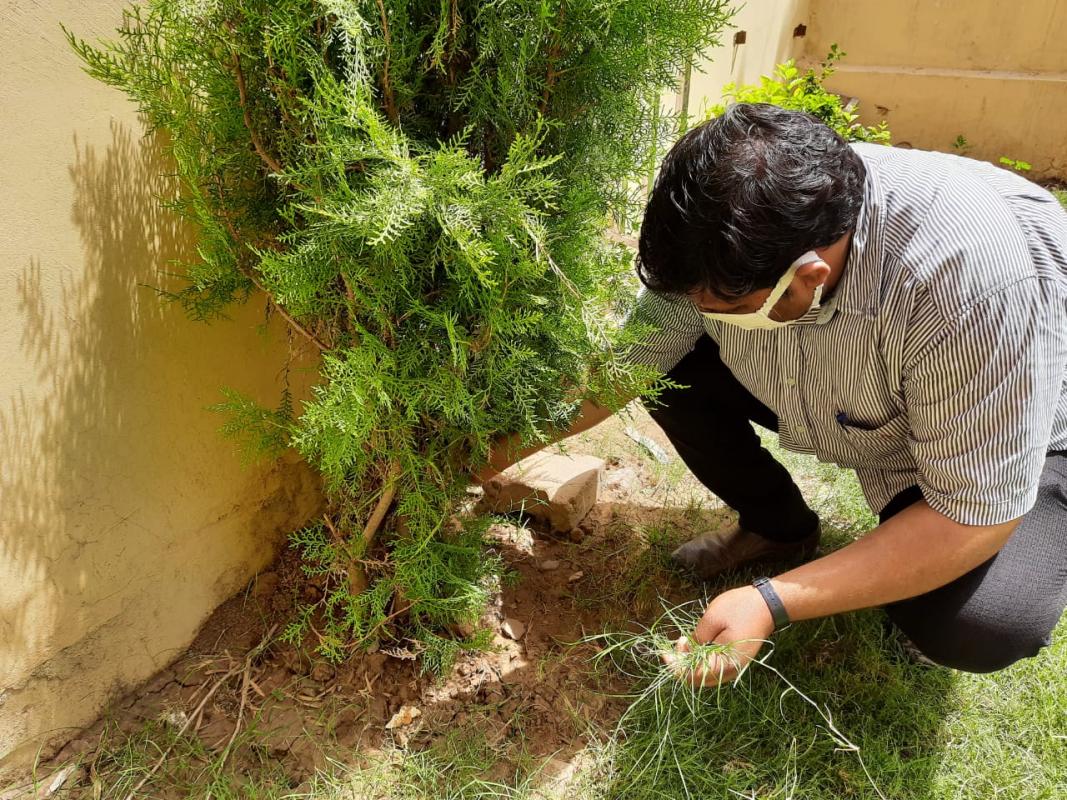 Project Sankalp
[C] Earth Hour
Challange 3- #Gogreen