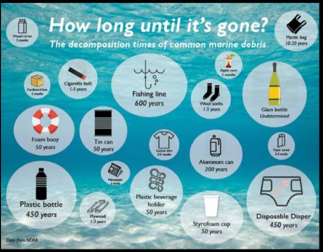 *ENVIRONMENT AND SUSTAINABILITY* Challenge1.) #How long until it is gone ?
