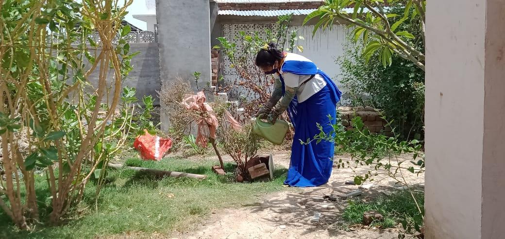 मंदिरो में पौधो को पानी पिलाते हुये स्काउट गाइड केप्टन जयलता माधव