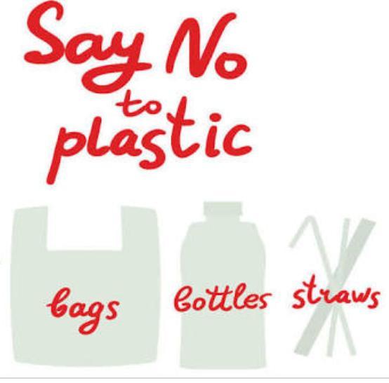 Community service : make a plastic free india