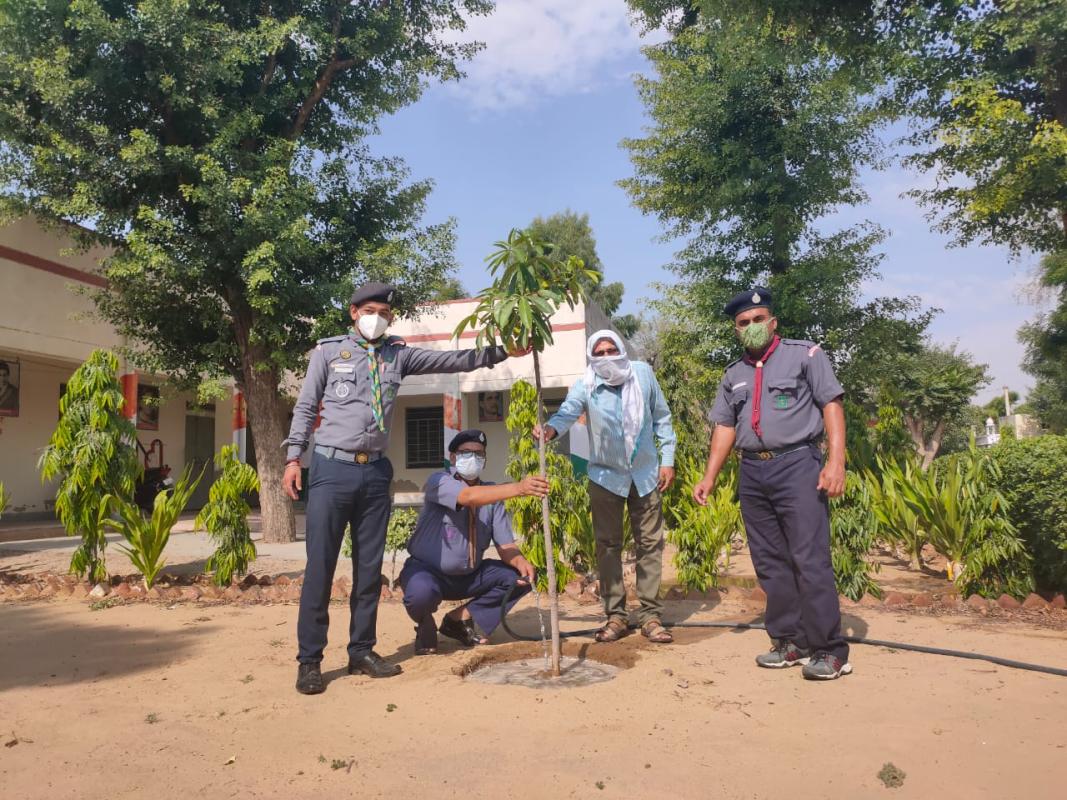 स्थानीय संघ द्वारा व्रक्षारोपन अभियान