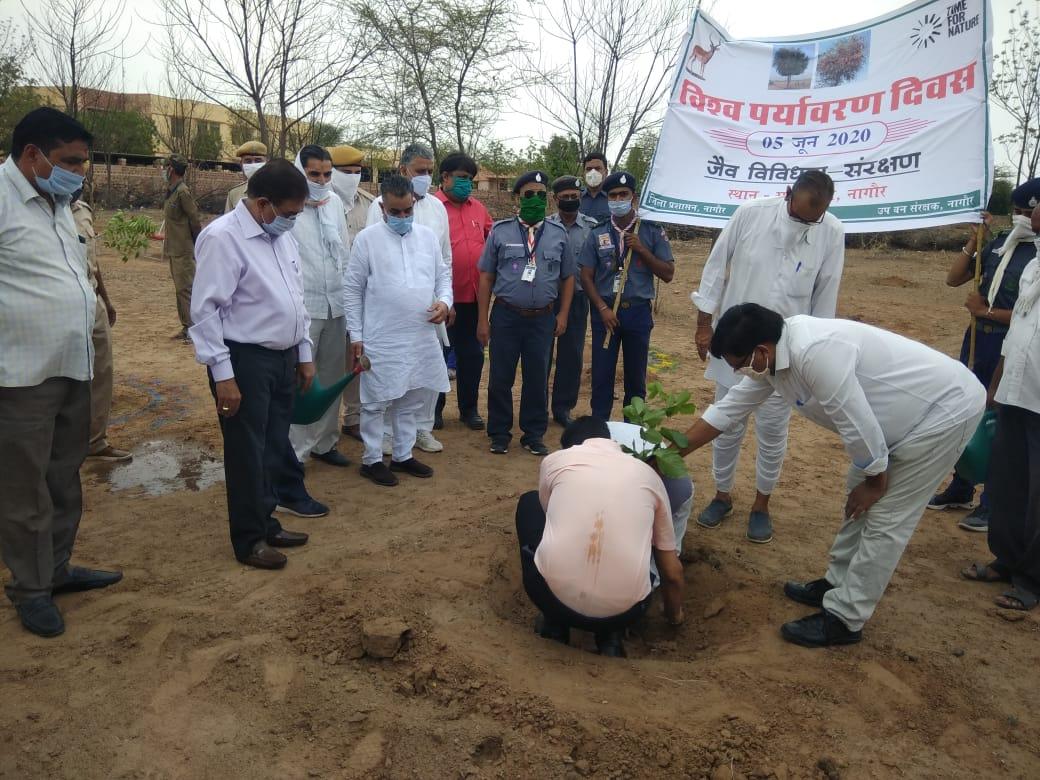 plantatiin on shahastra van nagaur