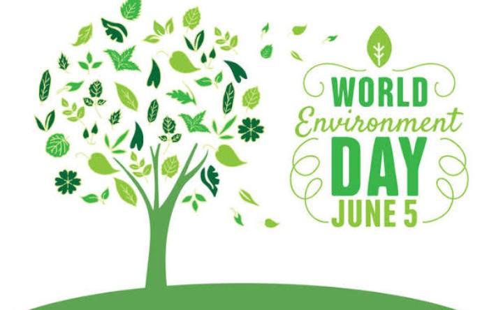 World Environment Day (#Biodiversity),5th of June 2020