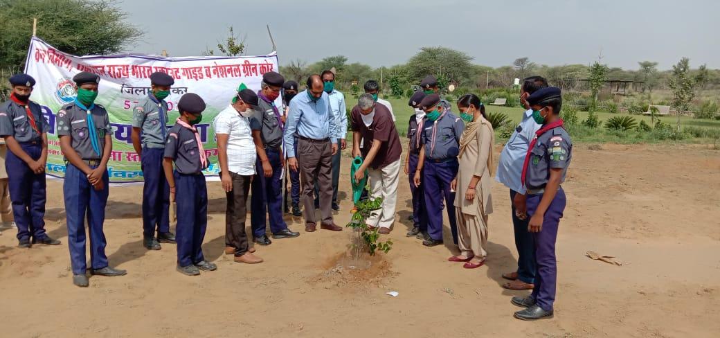 planting plants in smrati van