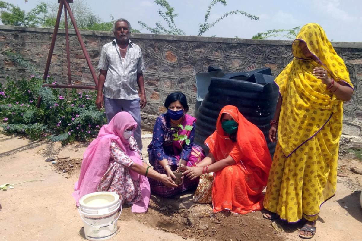 वृक्षारोपण व परिंडा अभियान