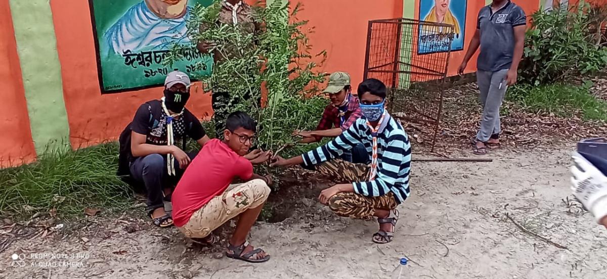 Recovering Nature For Amphan Super Cyclone