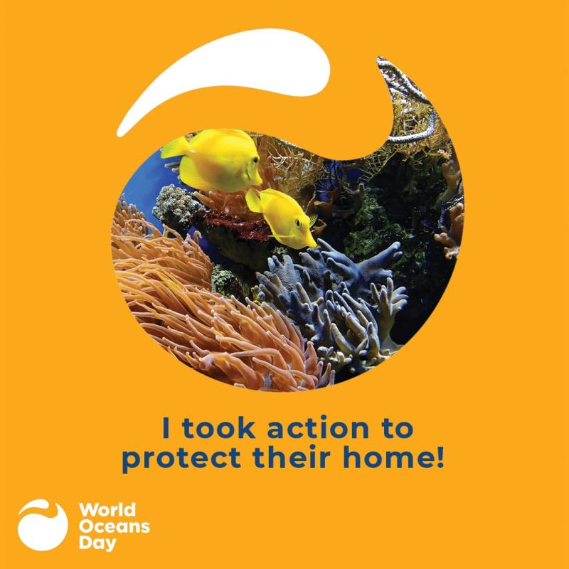 Happy World Oceans Day 