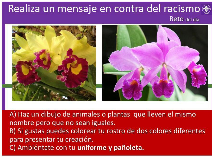 Dile No al Racismo