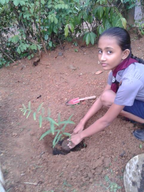 7 Days Challenge for Scouts in Avissawella, Srilanka