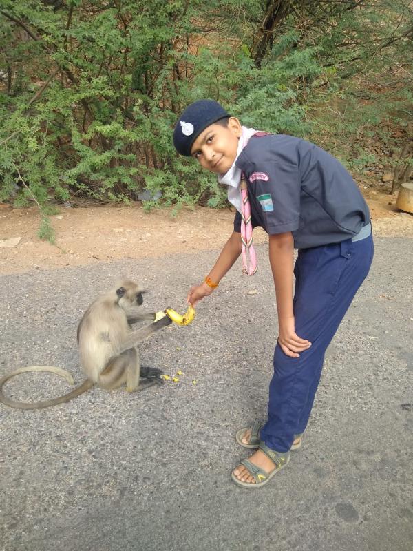 #messenger of peace#mop service of lockdown