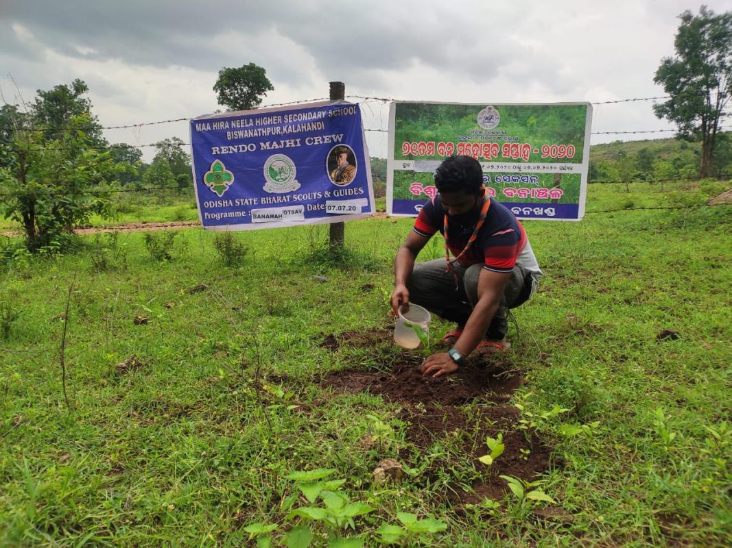 Celebrating Bana Mahotsav 