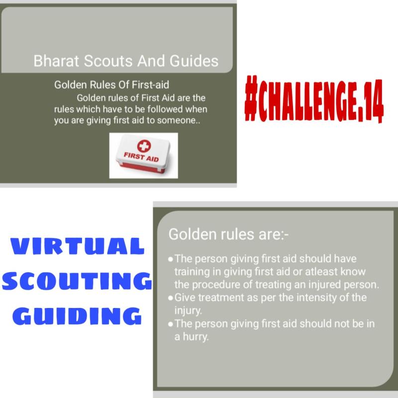 Udaan - Wings of hope | Challenge 14 Virtual Scouting Guiding