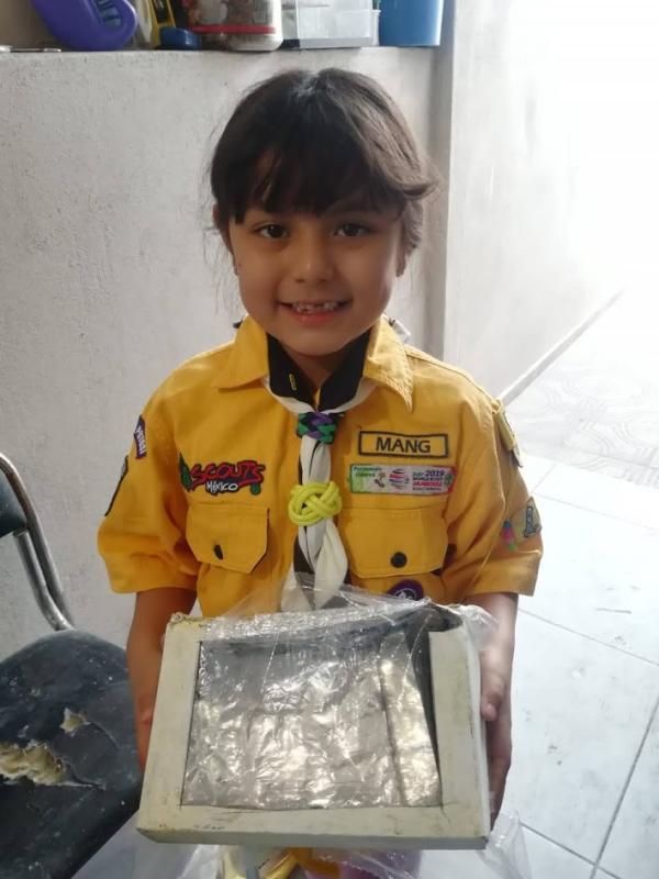 Go Solar desde casa2020