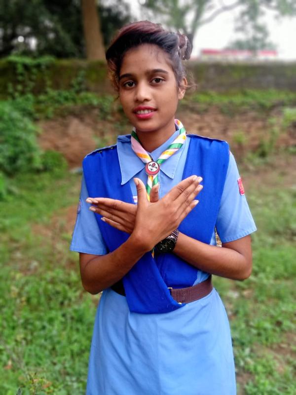 Webinar on better world framework..