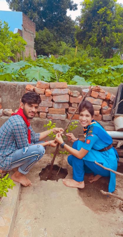 हरित रक्षा बन्धन