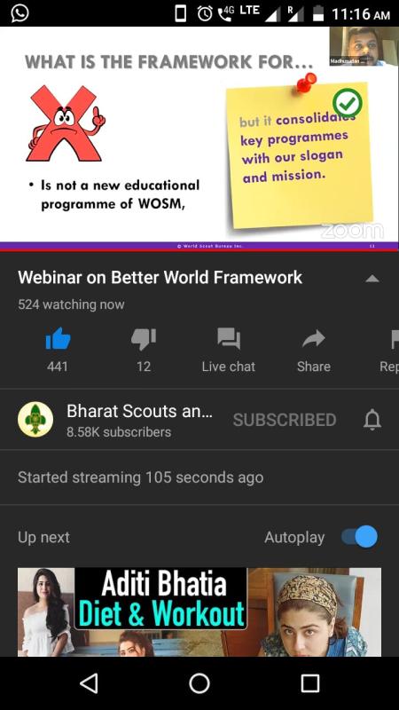 wibnar on better world frame work 