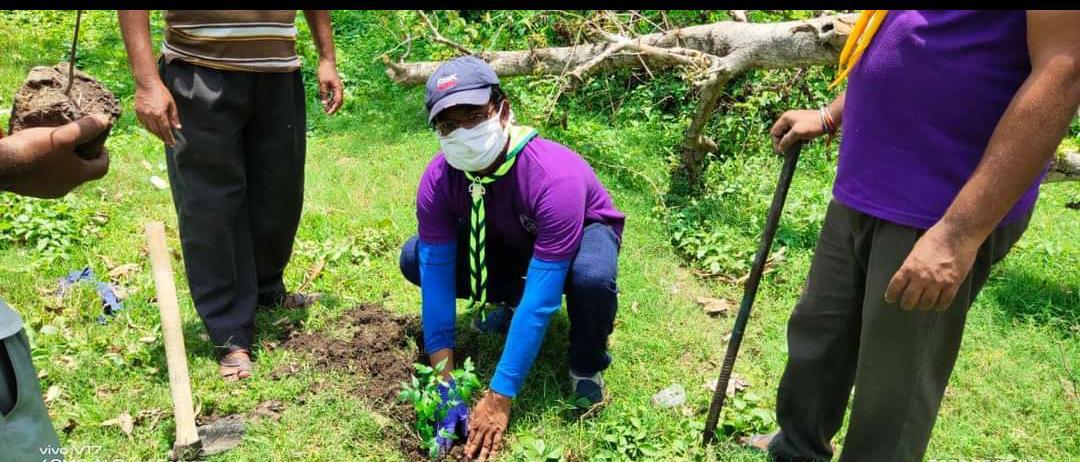 Observed Van Mahotsav