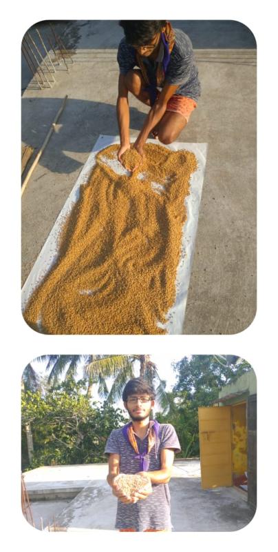 Navigating the Seas of Tomorrow