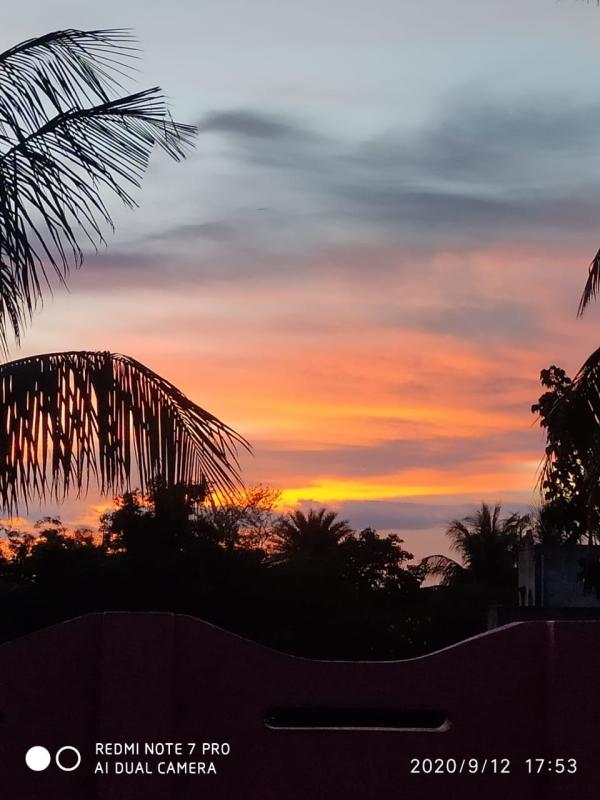 Photography about peace of nature side