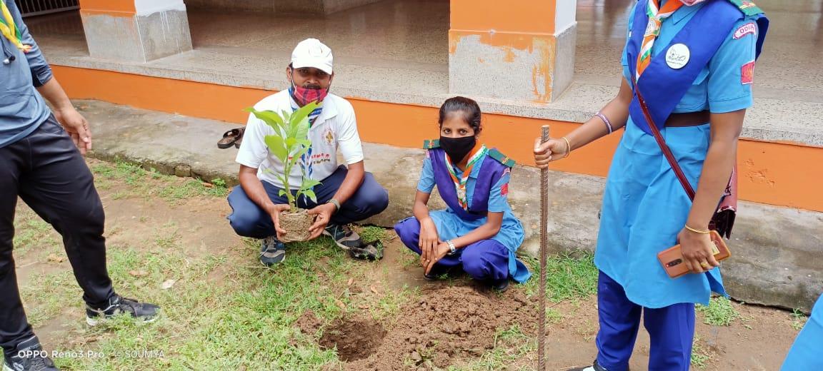 tree plantation at Saraswata Vidyamandir