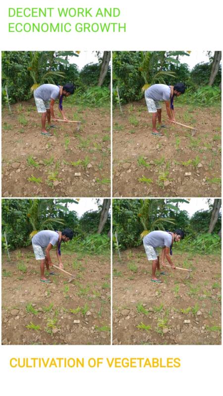 IDP 2020ACTIVITY8.12-ACTIVITY BASED ON SDGS