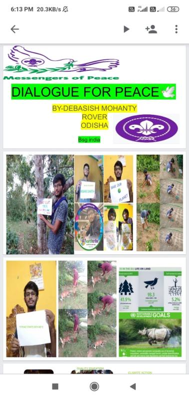 IDP2020ACTIVITY 8.5-DIALOUGE FOR PEACE