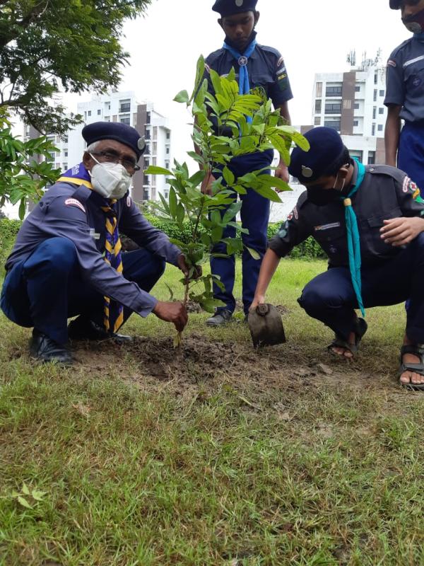 PEACE TREE PLANTATION