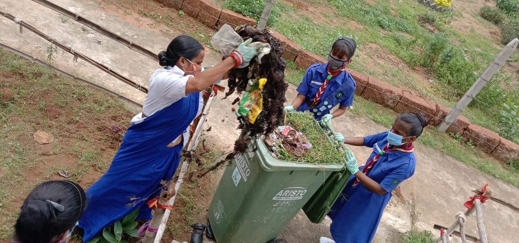 Clean india green India-international day of peace