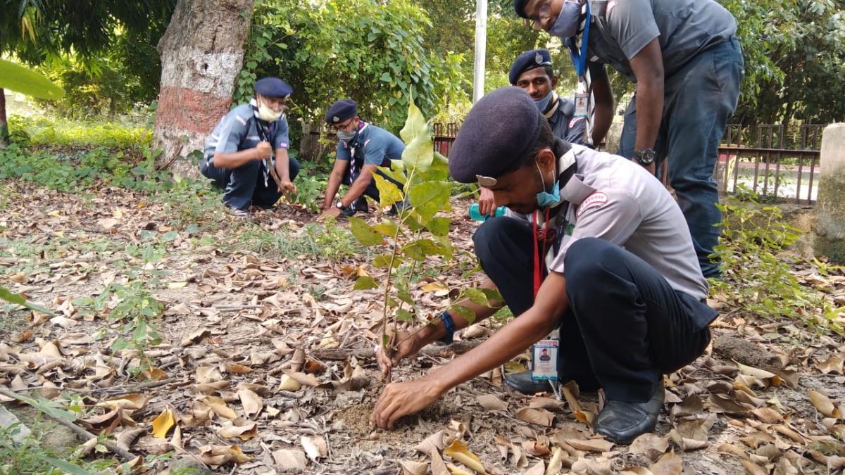 International day of peace