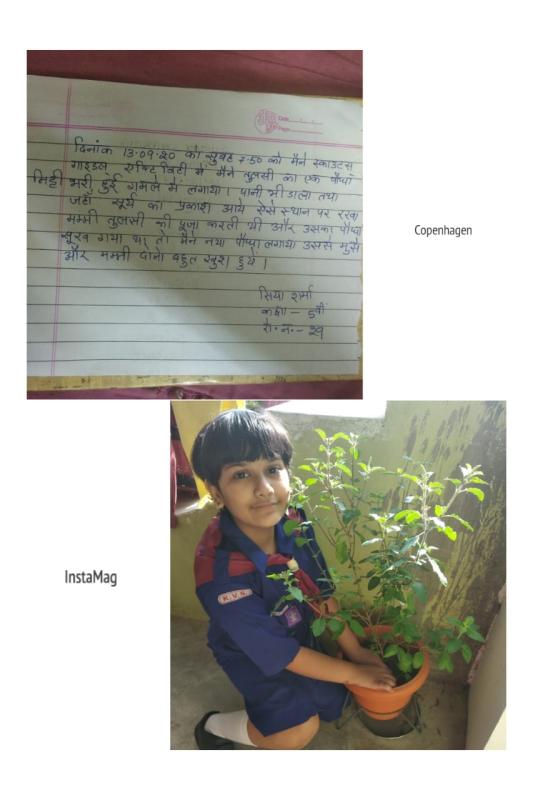 ইন্টারন্যাশনাল পিস ডে উৎযাপন 